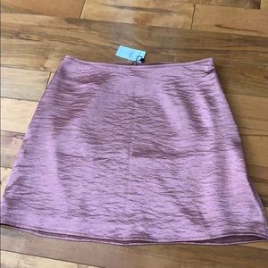 NWT Express Skirt